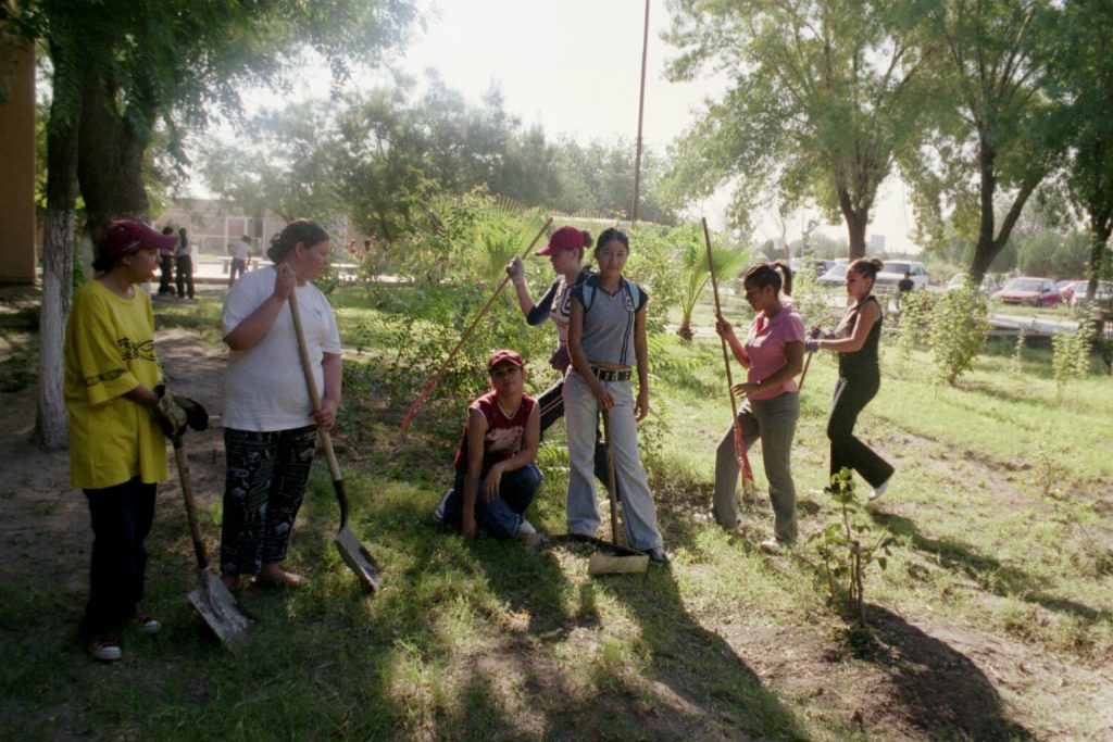 IMG006 (7)