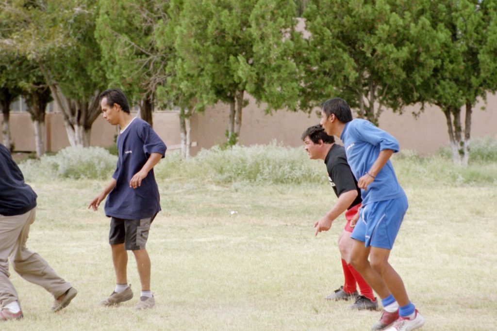 IMG008 (3)
